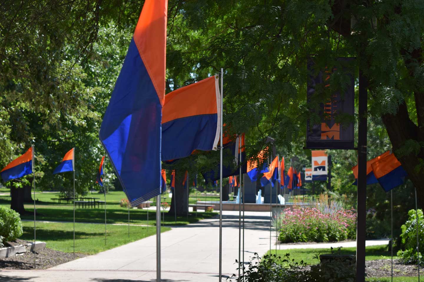 Campus Flags